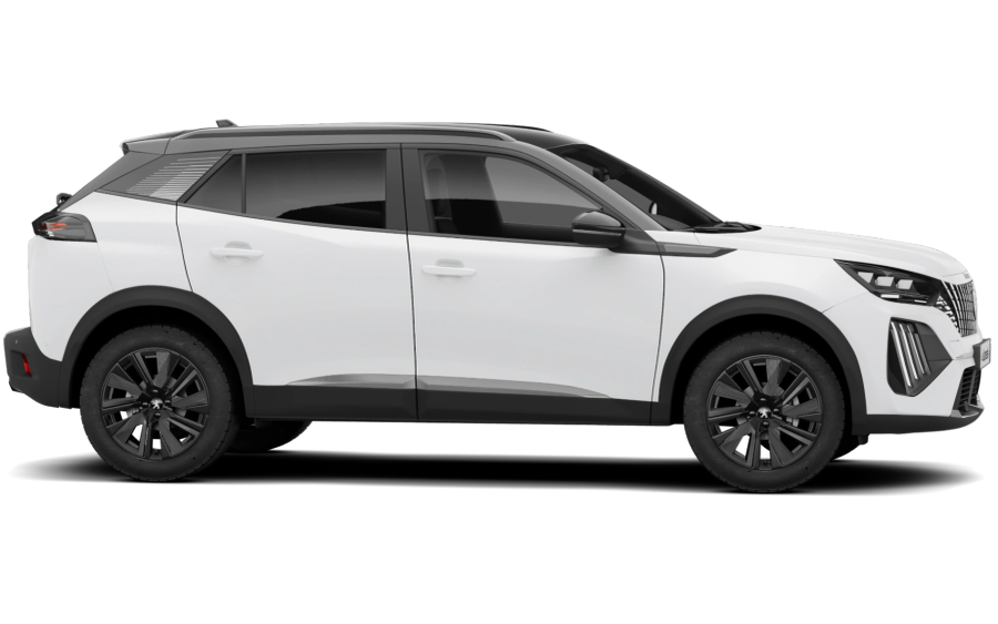 Peugeot 2008 HYBRID 110 e-DSC6 Business